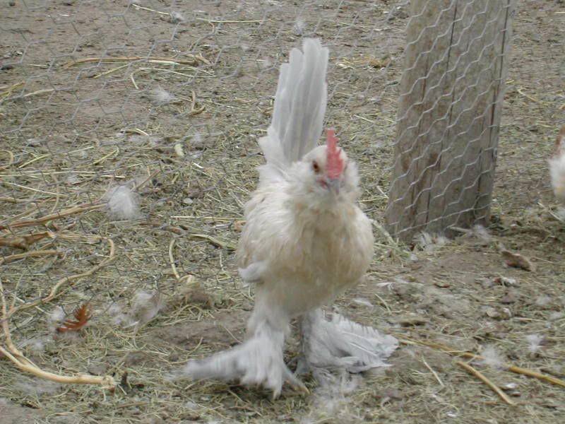 DSCN2758.jpg