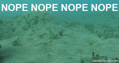 tumblr_ml5dy9skGy1snmpfxo1_500.gif