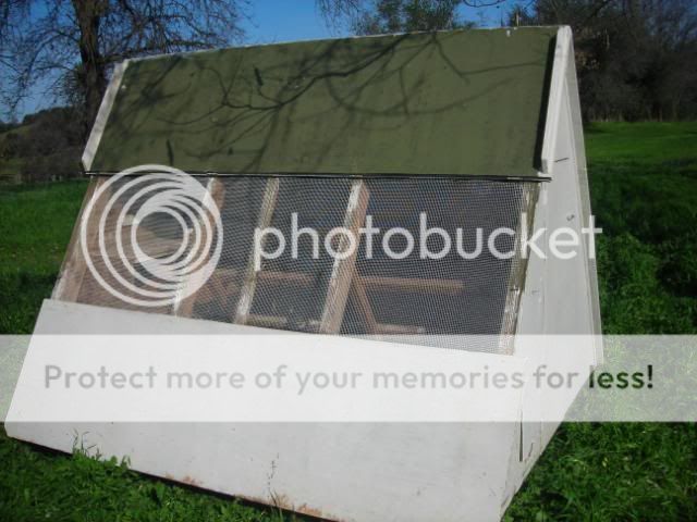 DSCN5397.jpg