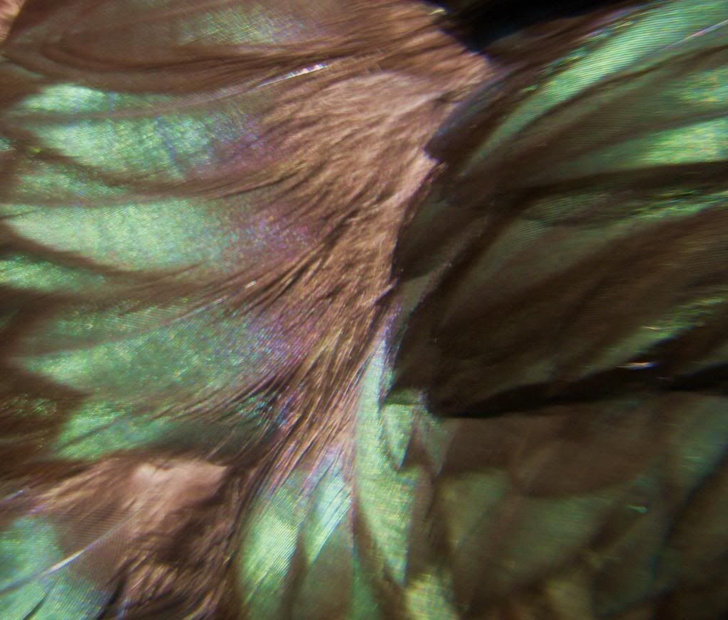 DSCN2773.jpg