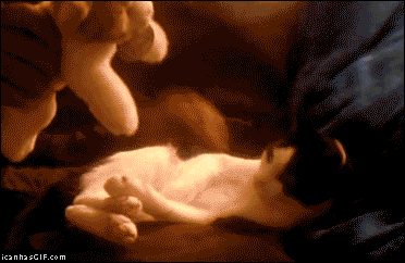 tumblr_n39rn0Yjcp1tpegqko1_400.gif