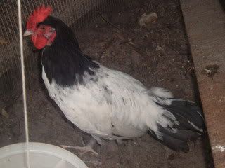 072208069.jpg