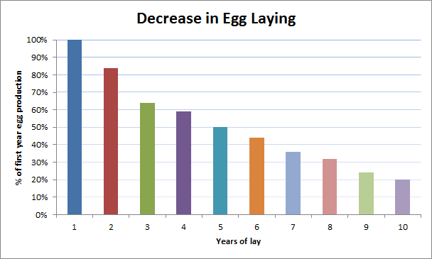 Chickens-Egg-Laying-Reducing-Over-Time.png