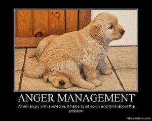 900x900px-LL-fbf5951d_funny-quotes-anger-management-300x239.jpeg