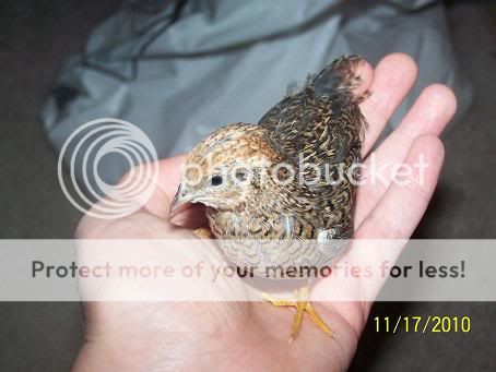 100_6139.jpg