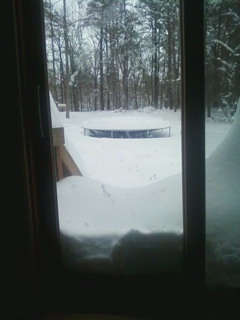Blizzard2009outbackdoor-1.jpg