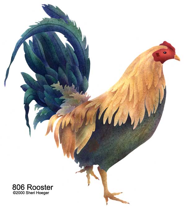 806rooster.jpg