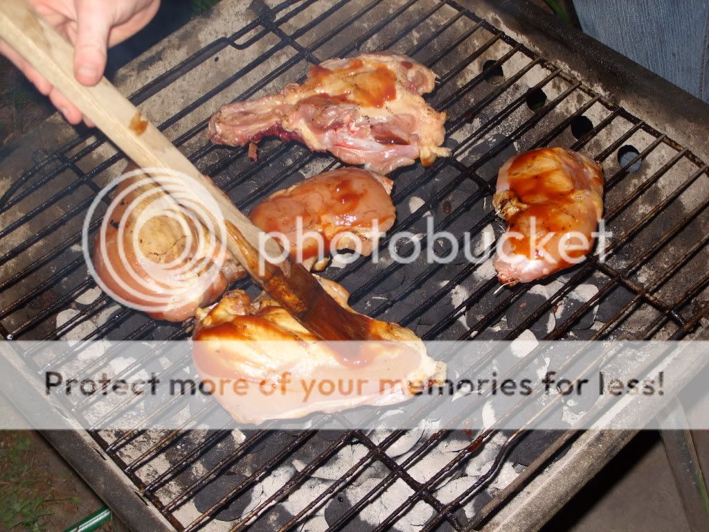 chicken008.jpg