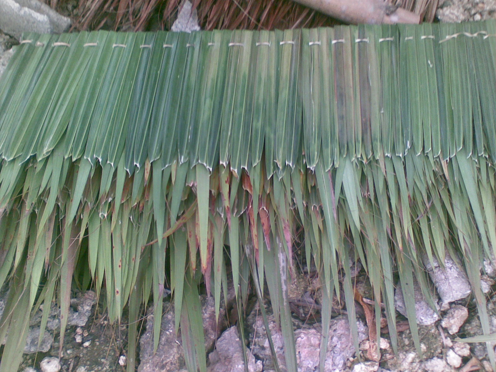 28102010(026).jpg
