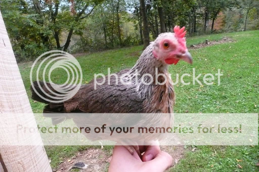 sept25th2011001.jpg