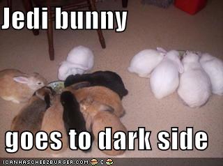 funny-pictures-jedi-bunny-dark-side-eating.jpg