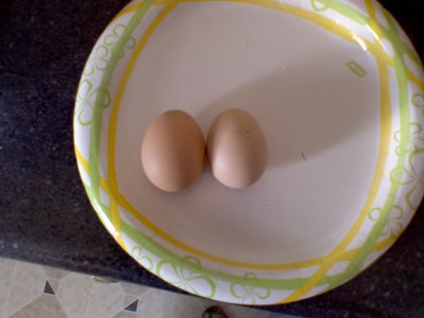 stew2ndegg.jpg