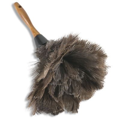 223324d1299281811-dusting-ostrich-feather-duster.jpg