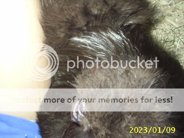017-2.jpg