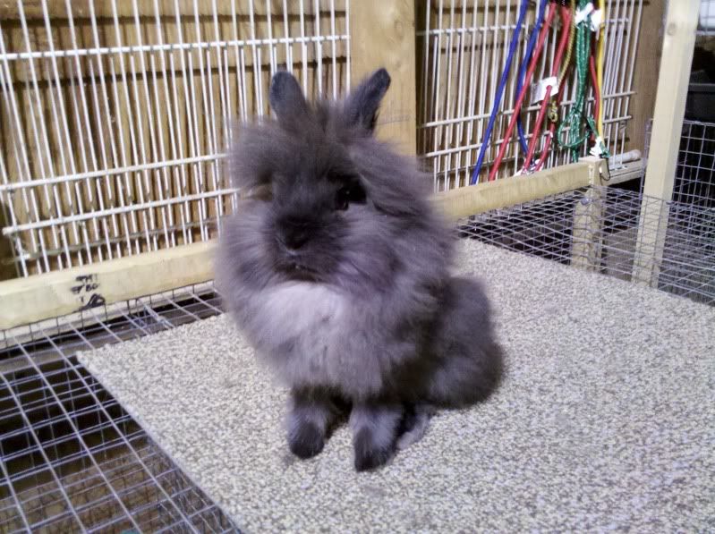 2011-10-23_19-03-11_155.jpg