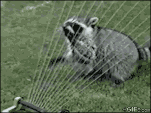 slide_341016_3517193_free.gif