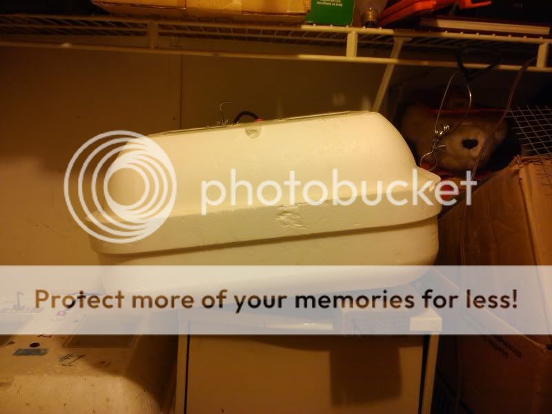 2011-03-31122823.jpg