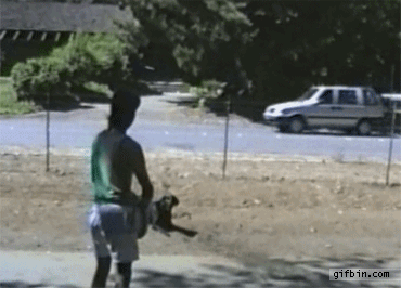 1346863275_epic_fetch_jump_in_the_river.gif