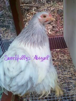 AbigailApril2011.jpg
