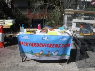 IMG_2811.jpg