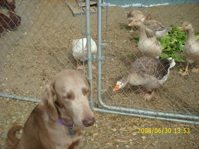 Picture001-1.jpg