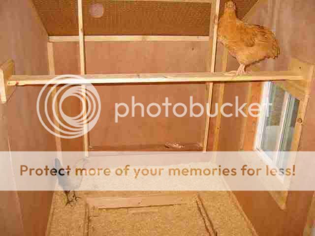 roosts_chute.jpg