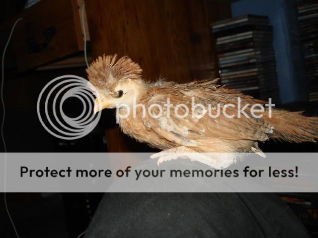 DSC01401.jpg