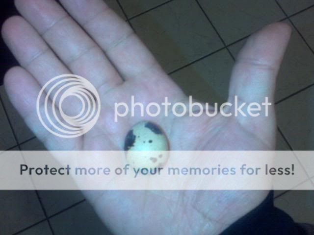 IMG00361.jpg