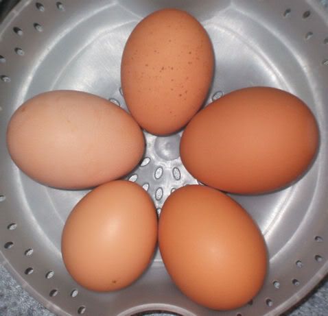 DSCF3142.jpg