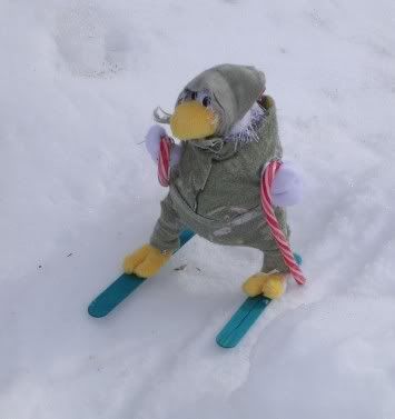 Ski1.jpg
