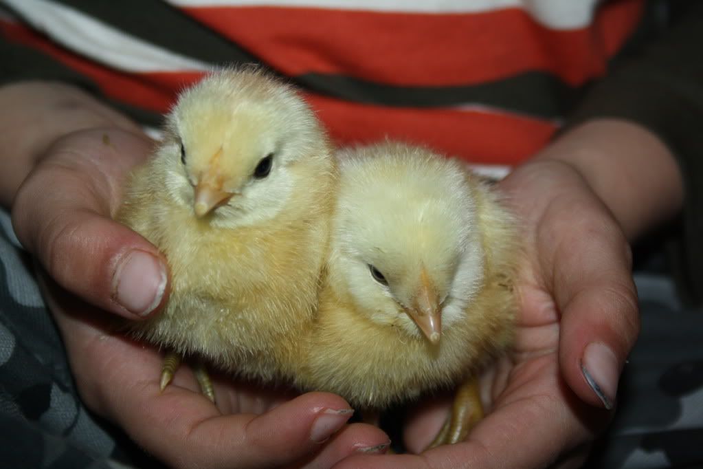 March2011063.jpg