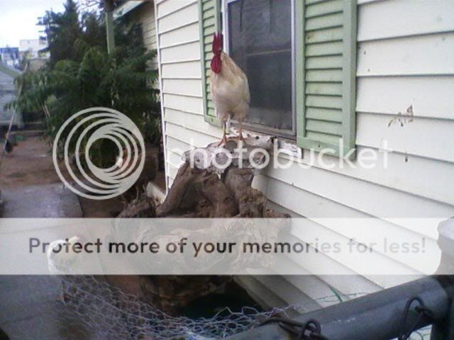081708_0922.jpg