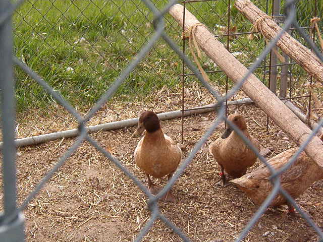 Mar2010.jpg