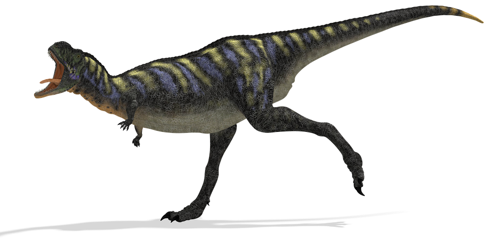 dinosaur-1310346_960_720.png