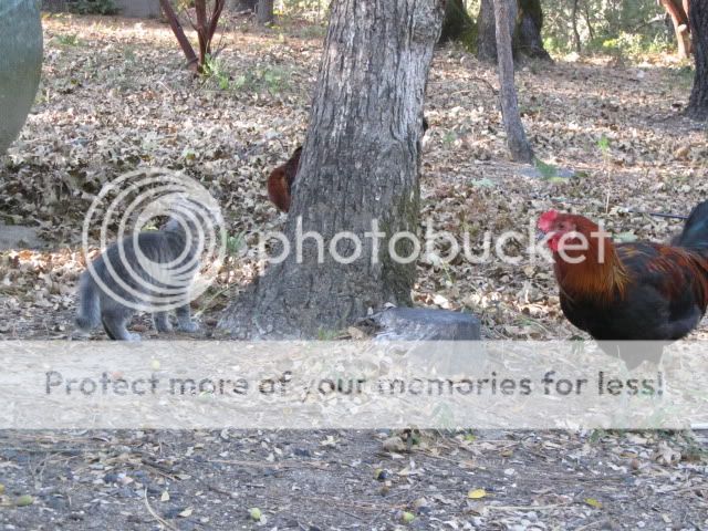 IMG_2930.jpg