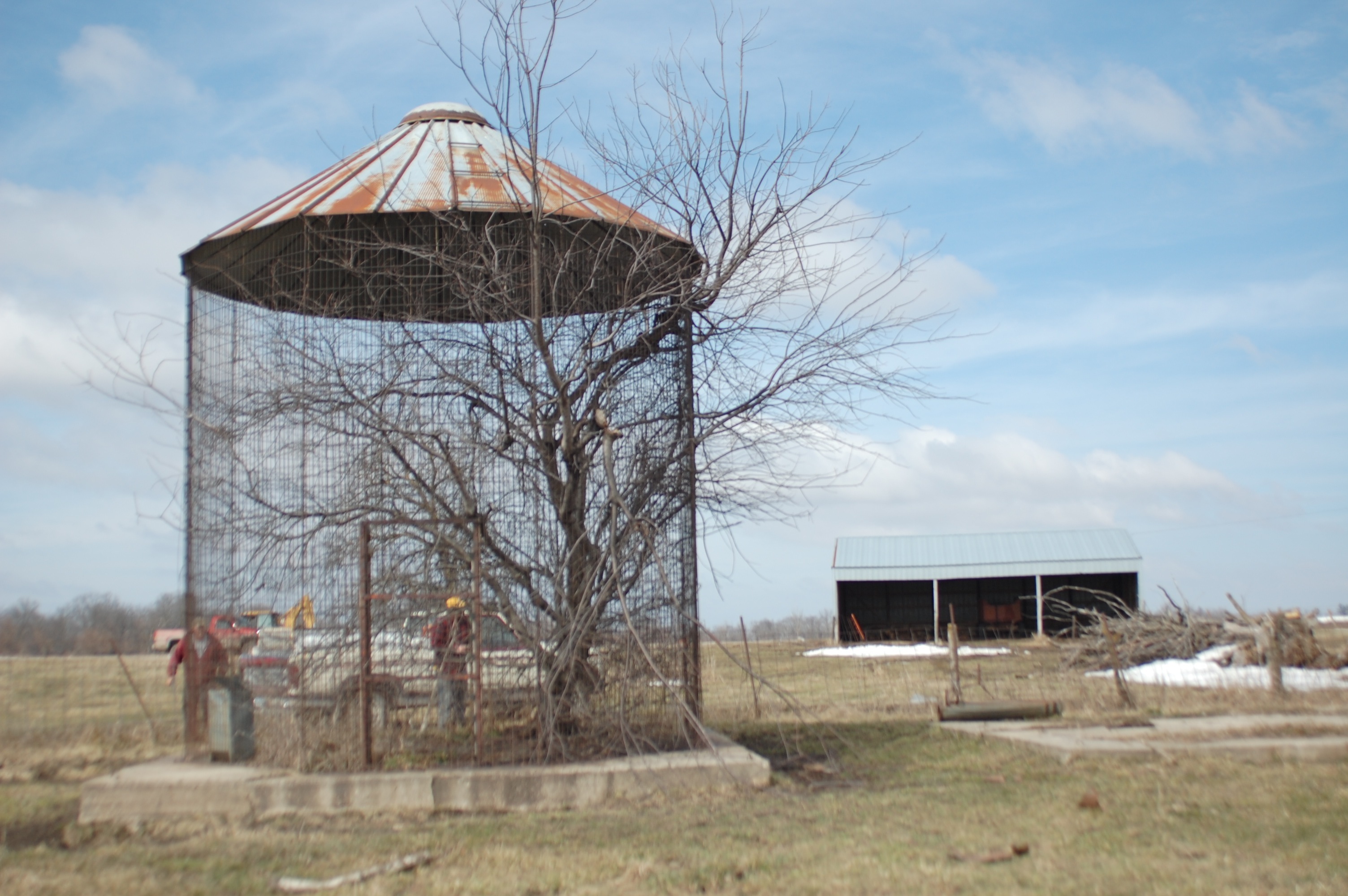 grain-bin-tree.jpg