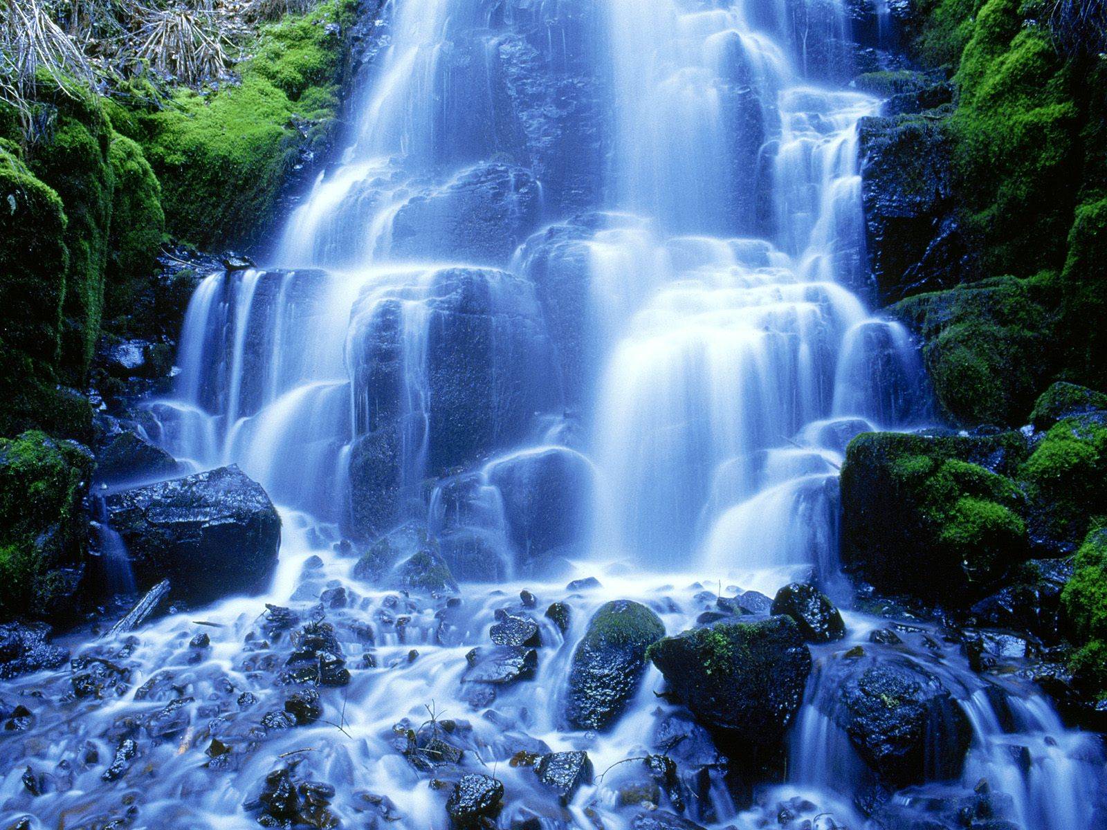 Columbia%20River%20Gorge,%20Oregon.jpg