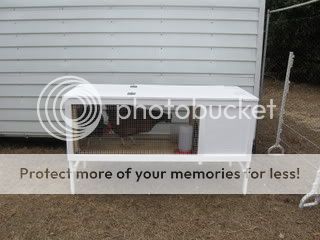IMG_0282.jpg