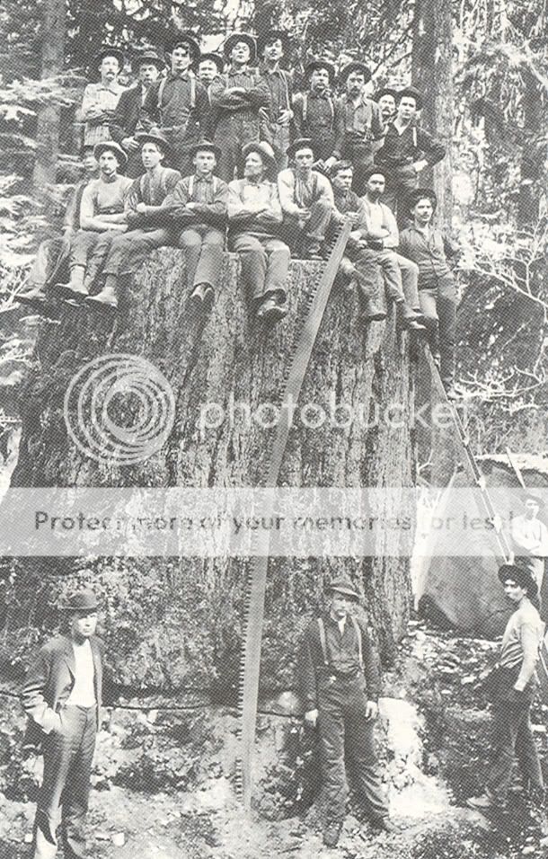 scan0002.jpg