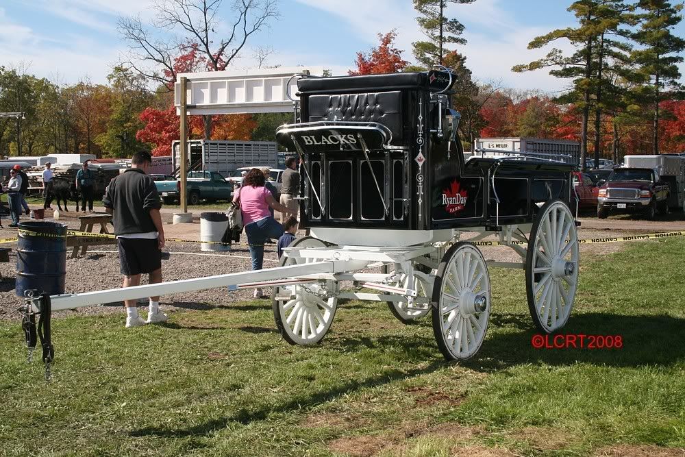 IMG_7028_LCRT2008.jpg