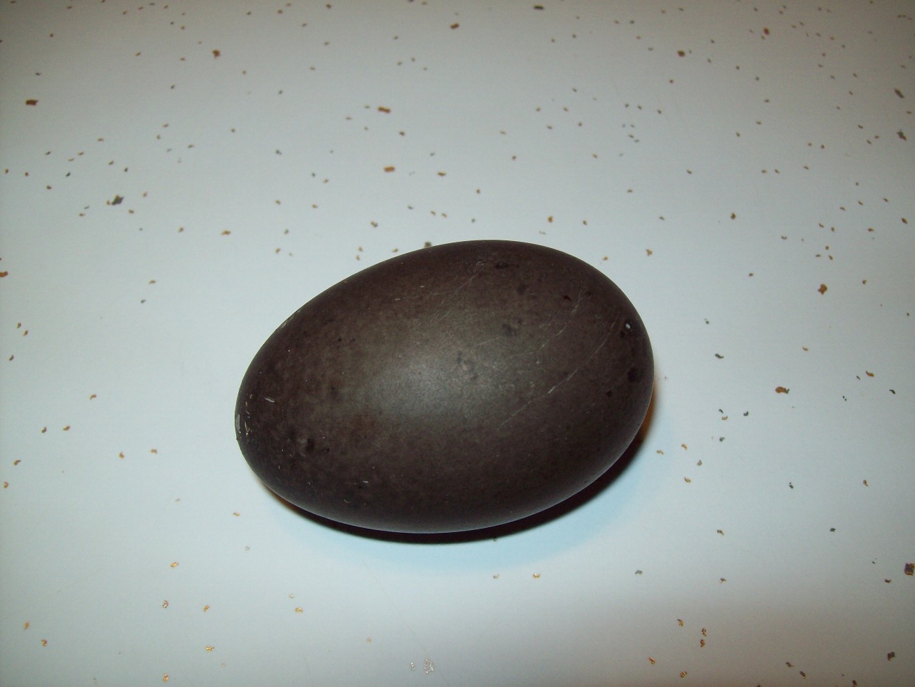 cayuga%20egg1.JPG