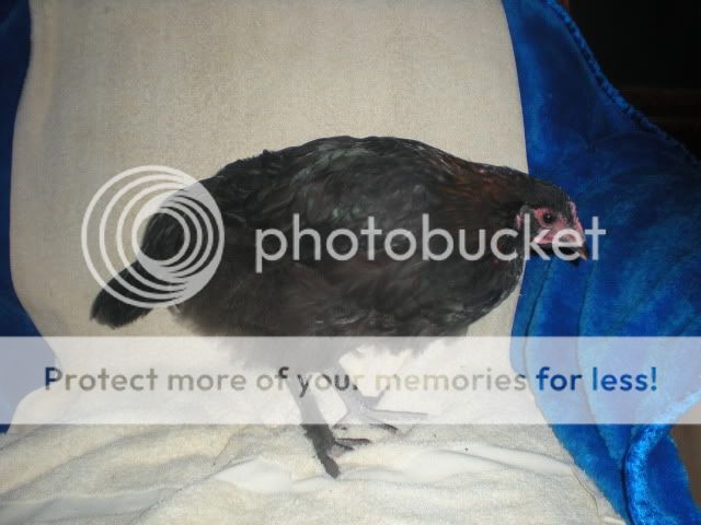 DSCN1568.jpg