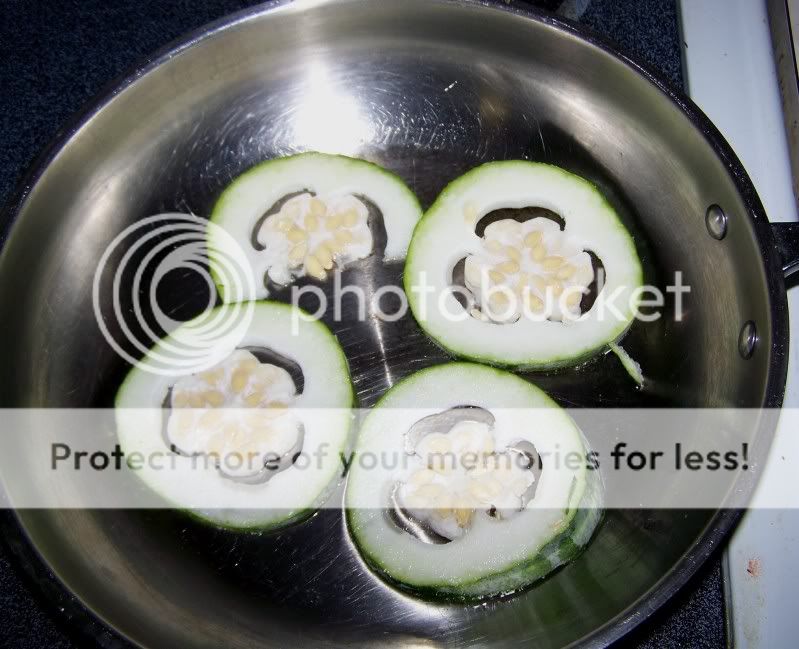 fmelon1.jpg