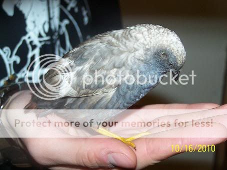 100_6112.jpg