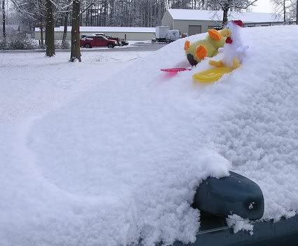 Snow4.jpg