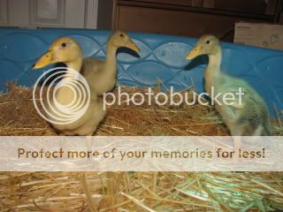 IMG_5134.jpg