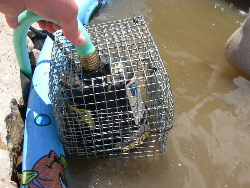 5-31-09003.jpg