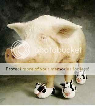 MooShoePork.jpg