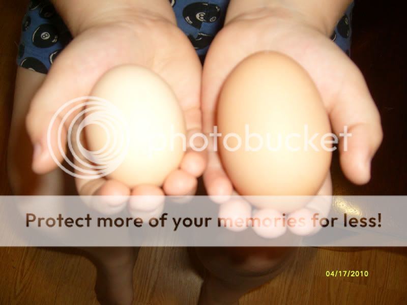 hugeegg1.jpg