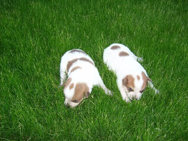 march2008004.jpg